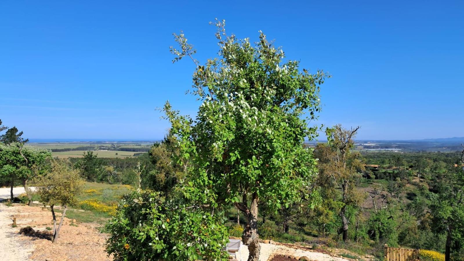 Monte Da Silveira Hotel São Teotónio Kültér fotó