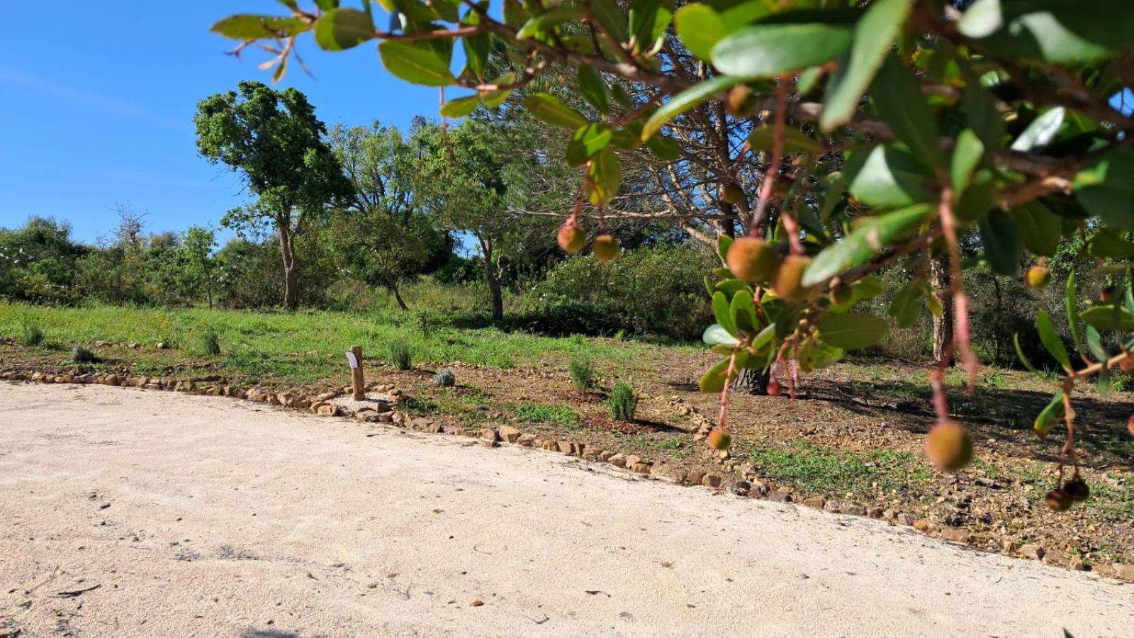 Monte Da Silveira Hotel São Teotónio Kültér fotó