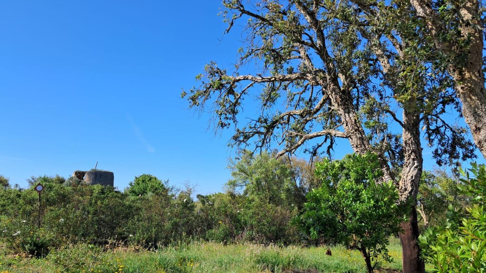 Monte Da Silveira Hotel São Teotónio Kültér fotó