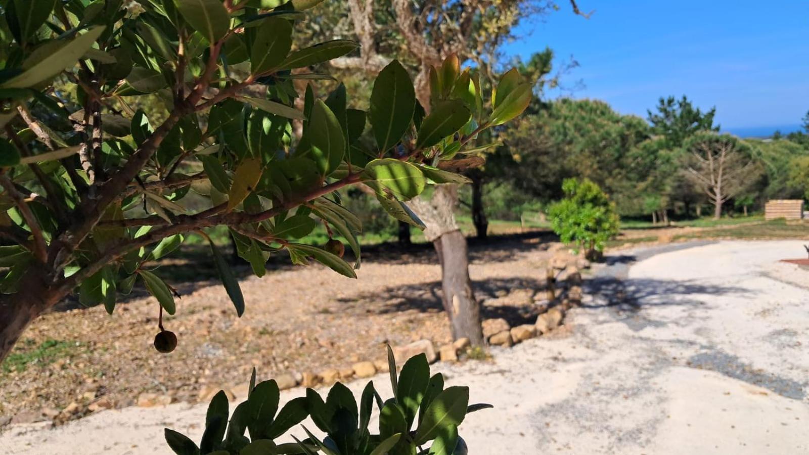 Monte Da Silveira Hotel São Teotónio Kültér fotó