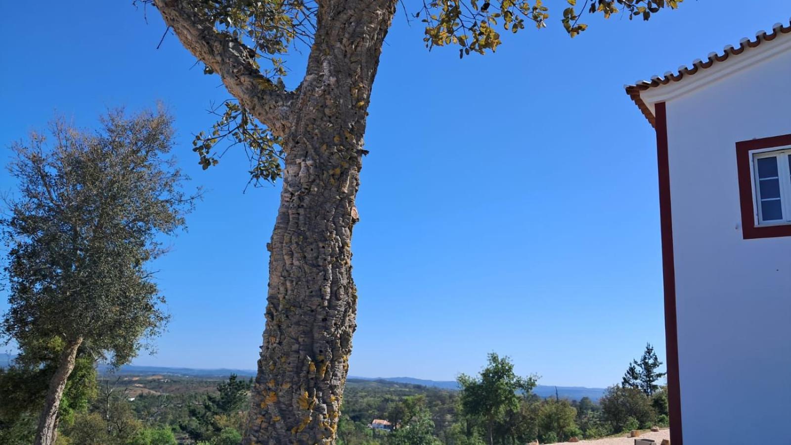 Monte Da Silveira Hotel São Teotónio Kültér fotó